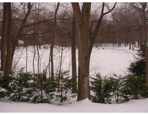 21 Waldo Road Milton, MA 02186 - Photo 8 of 10 Gallery Image 8