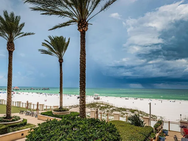 a view of a palm tree with a big yard and a fountain