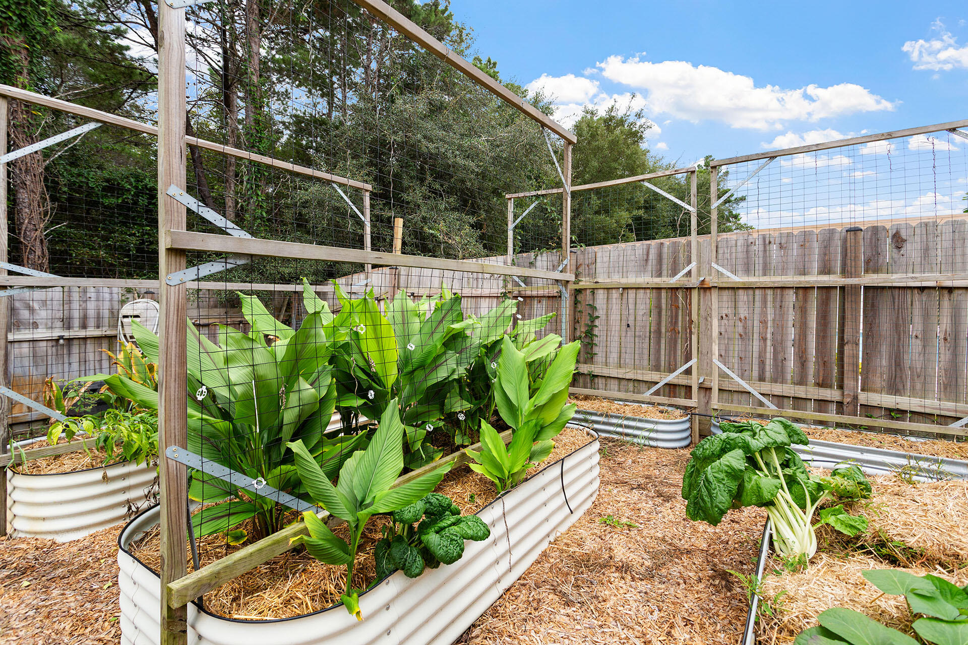 320 Jrs Way Santa Rosa Beach, FL 32459 - Photo 38 of 40 ZC0A2534