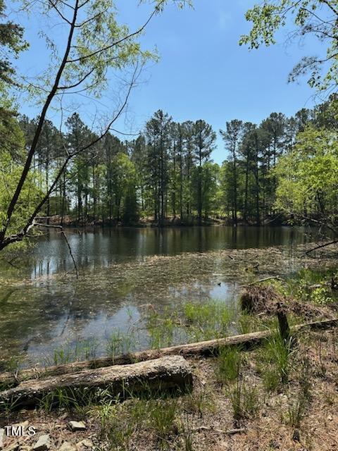 4816 Carbonton Road Sanford, NC 27330 - Photo 11 of 14 Adjacent Pond