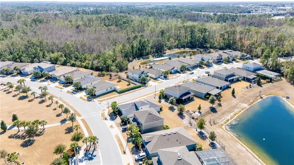 a view of a palm plant with a table and chairs