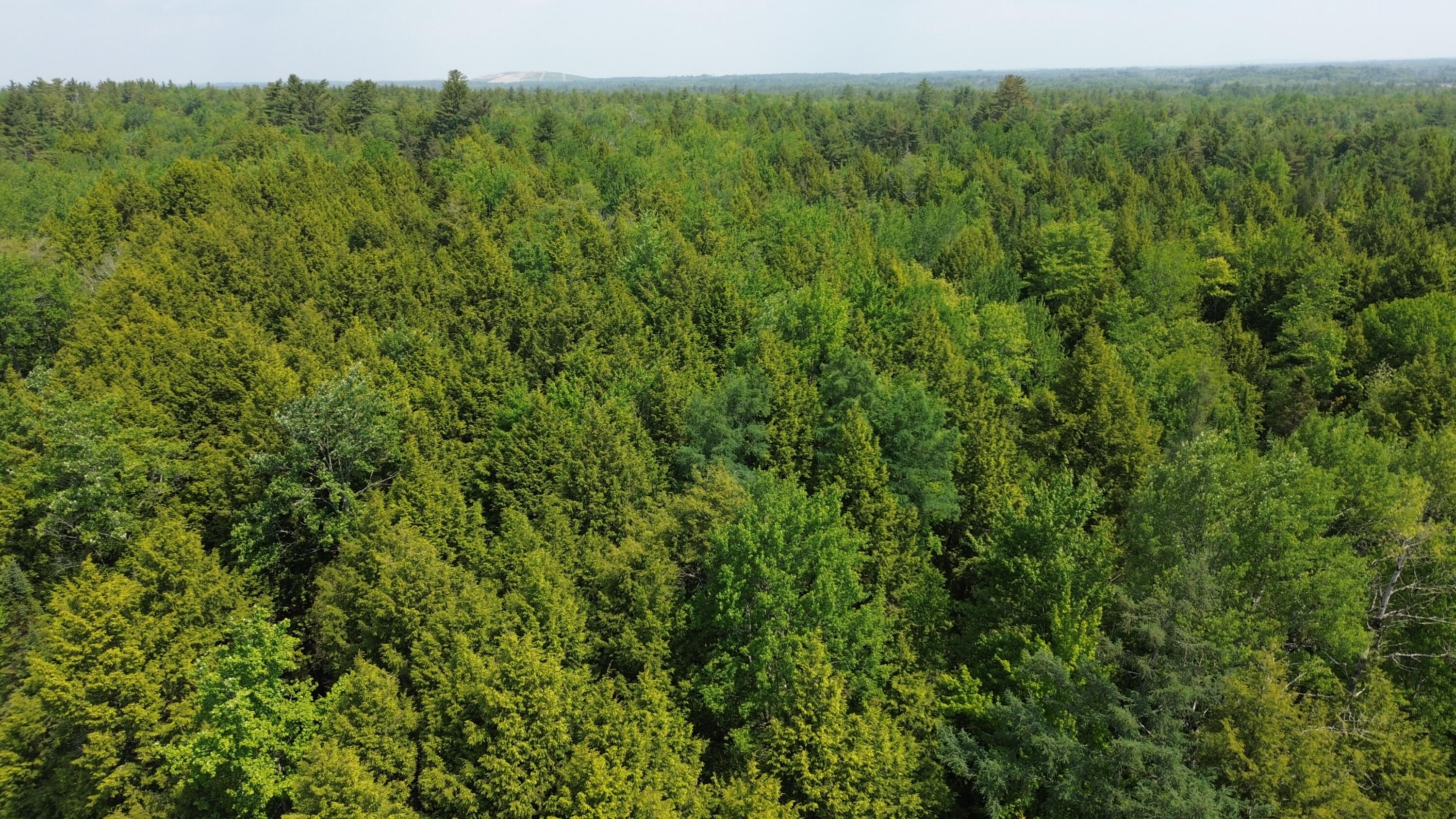 0 Kirkland Road Old Town, ME 04468 - Photo 9 of 12 DJI_0190