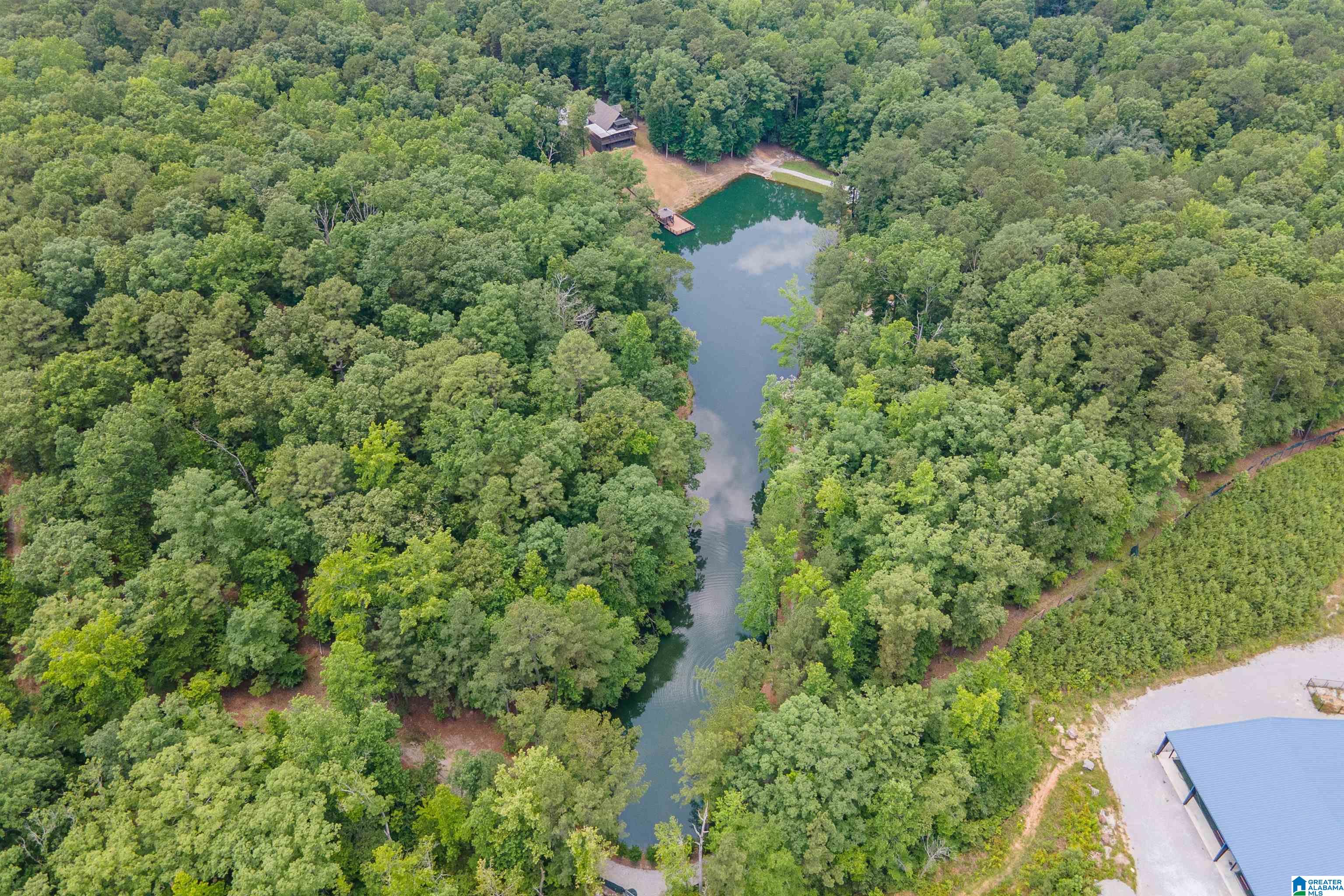 517 Hodgens Road Chelsea, AL 35043 - Photo 69 of 79