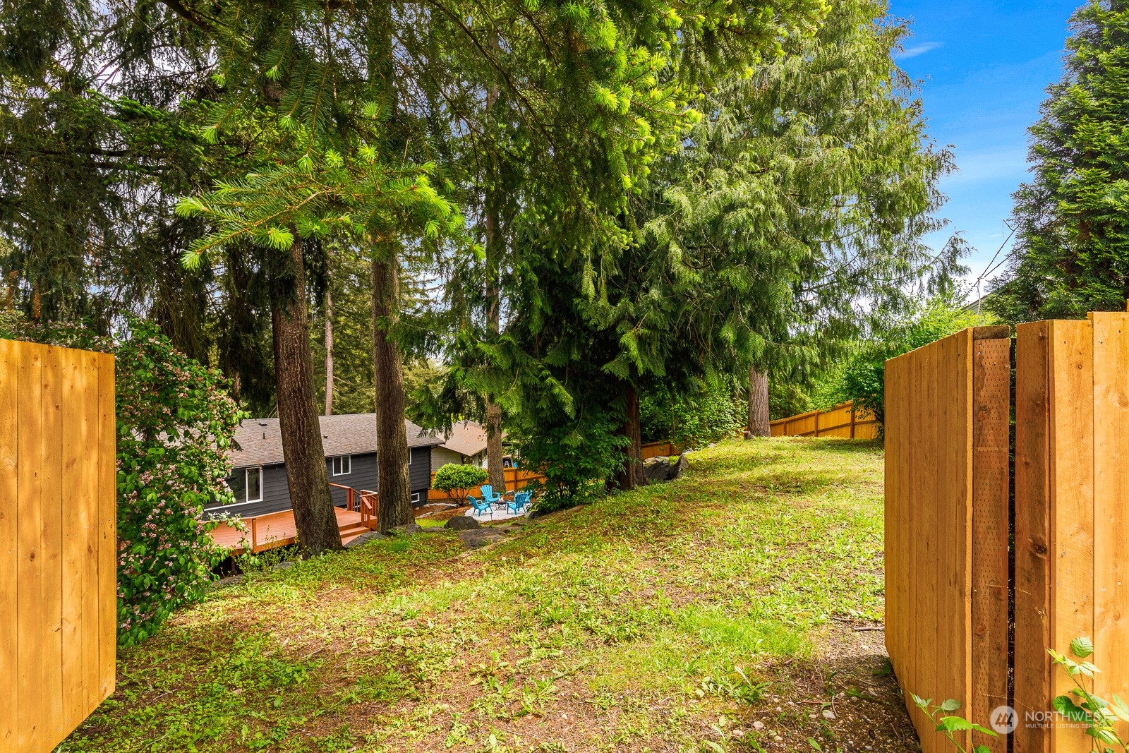 212 143rd Street Southeast Everett, WA 98208 - Photo 35 of 40 a view of a backyard with plants and large trees