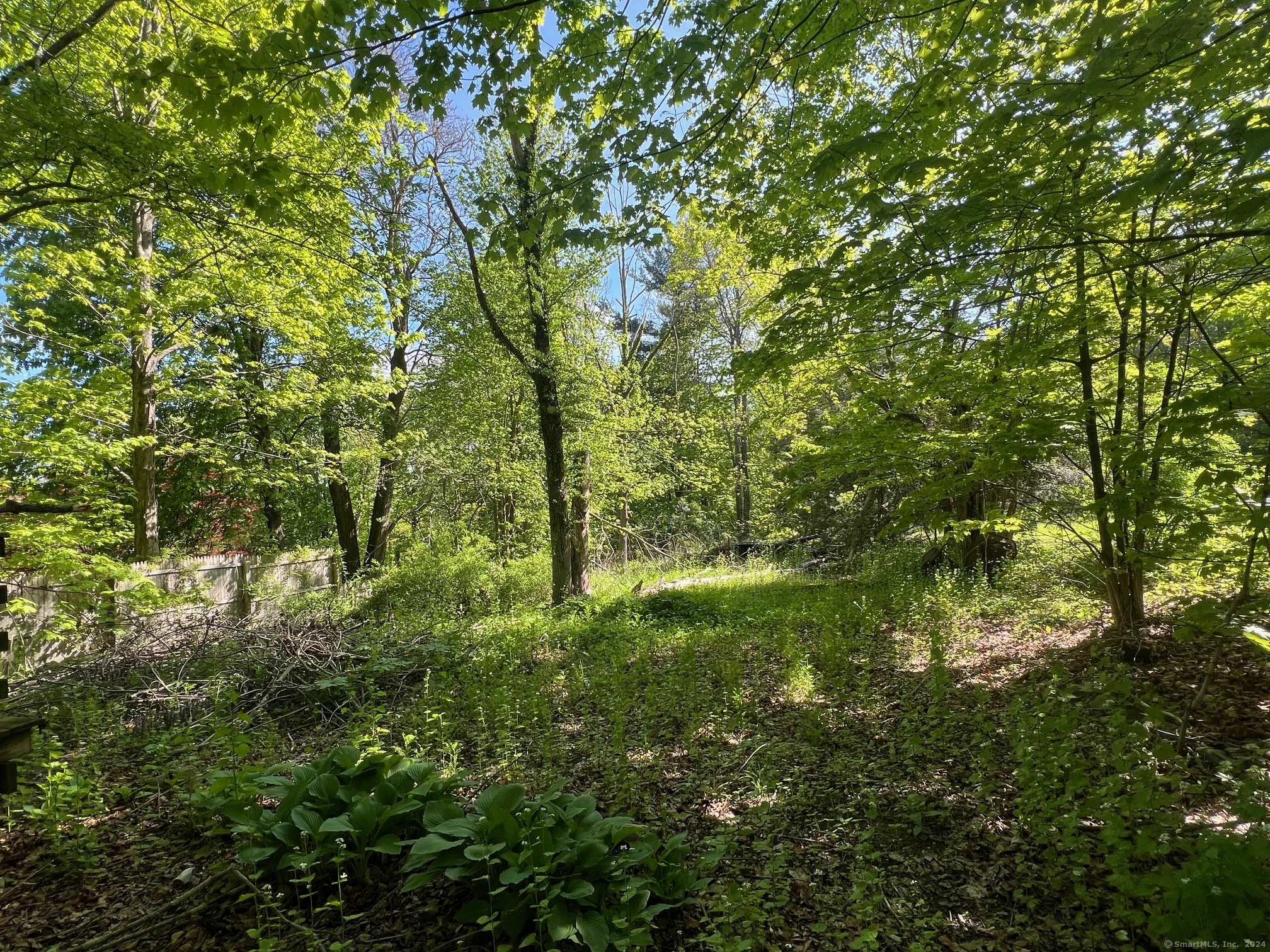 353 A Hayden Hill Road Torrington, CT 06790 - Photo 5 of 5 rear yard