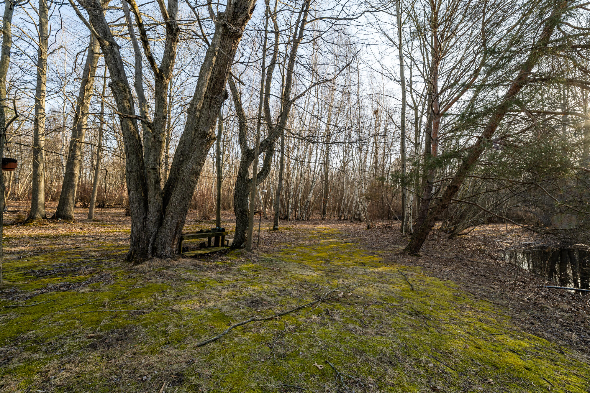11285 Gast Road Bridgman, MI 49106 - Photo 28 of 39 Gast-129