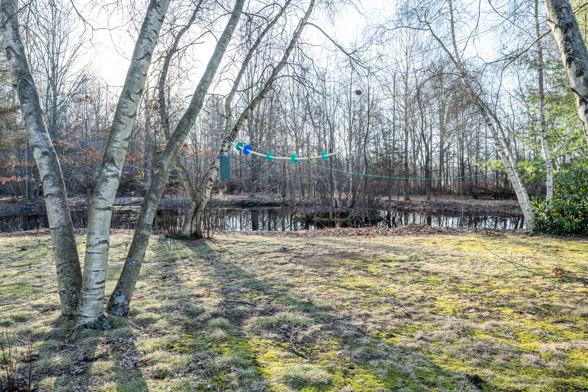 11285 Gast Road Bridgman, MI 49106 - Photo 30 of 39 Gast-131