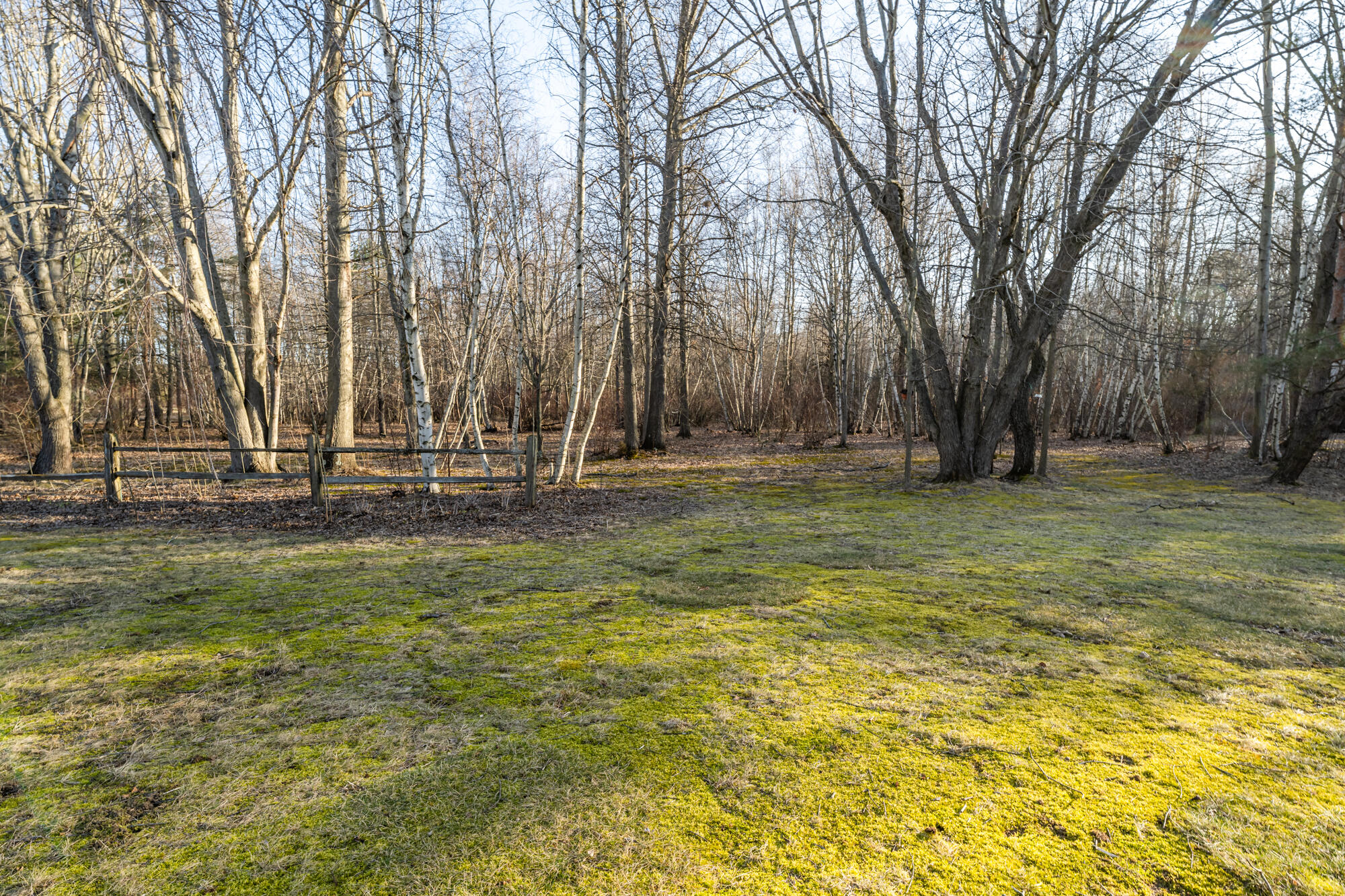 11285 Gast Road Bridgman, MI 49106 - Photo 31 of 39 Gast-132