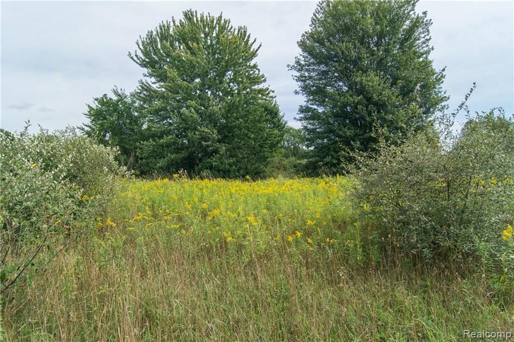 0 South Gregory Road Fowlerville, MI 48836 - Photo 7 of 26