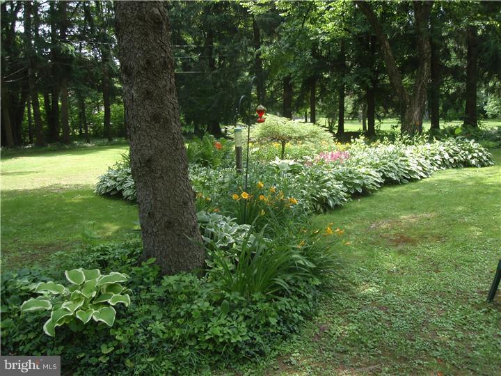 1125 Apple Road Quakertown, PA 18951 - Photo 7 of 19 Gallery Image 7