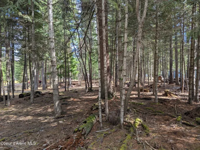 $159,900 | Nna West Florida Circle, Worley, ID 83876