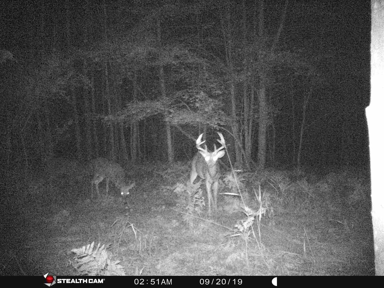 40-acres Hottis Road Whittemore, MI 48770 - Photo 23 of 23