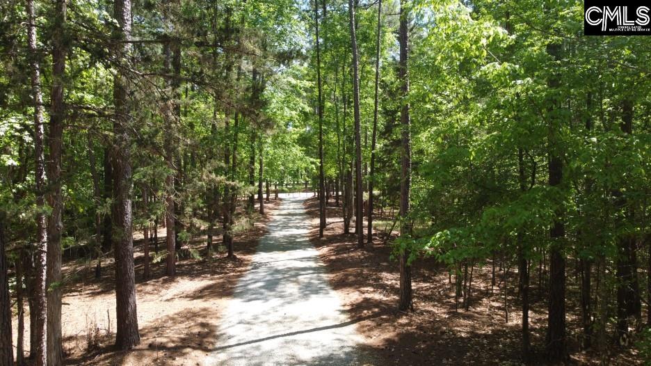201 State Rd S-20-99 Blair, SC 29015 - Photo 47 of 61