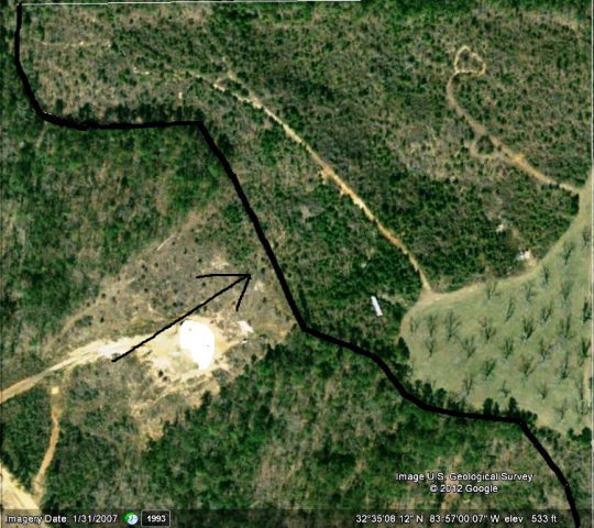 730 Cleveland Road Fort Valley, GA 31030 - Photo 1 of 1 a view of a forest with a tree