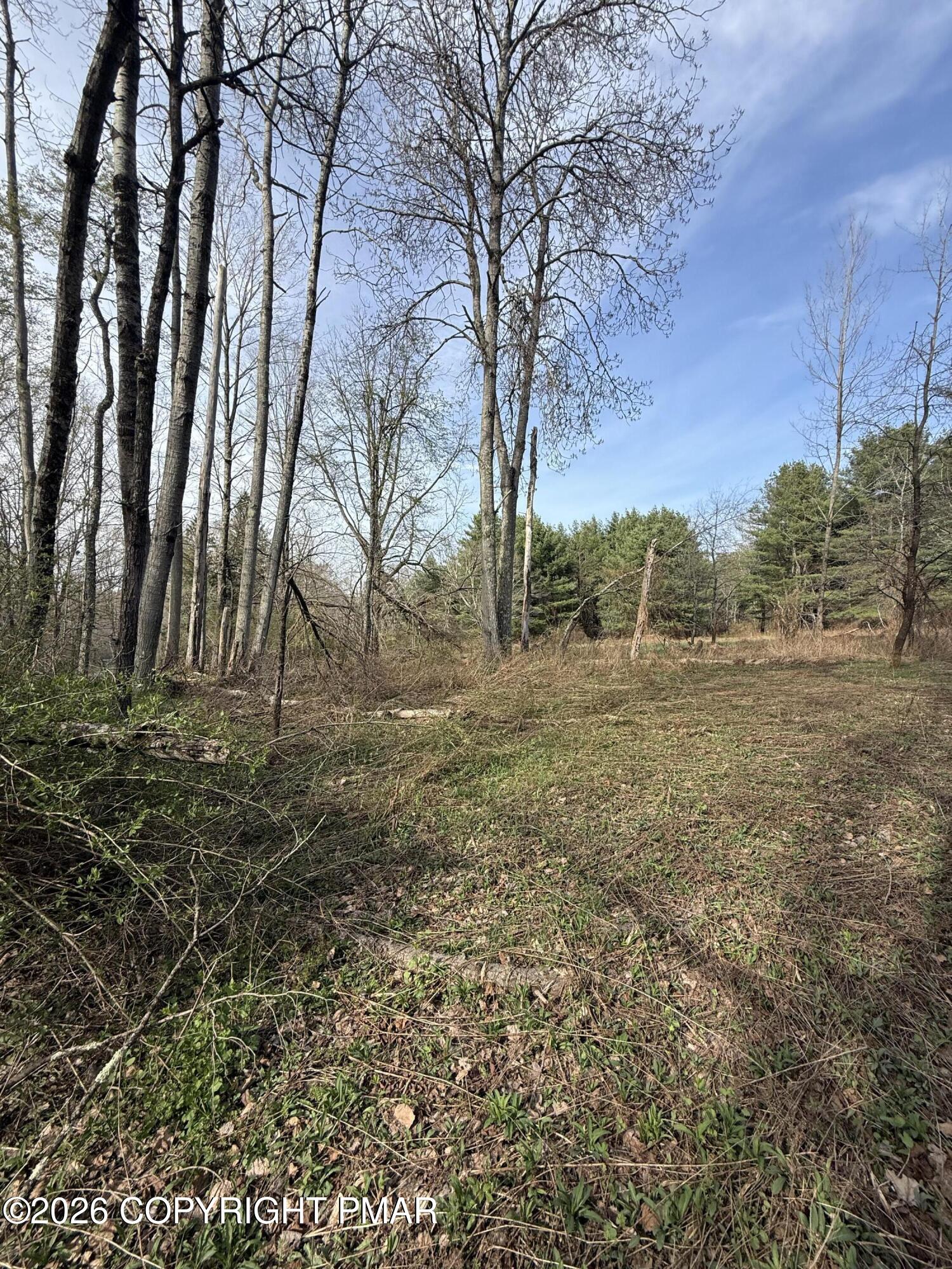 Thomas Road Blakeslee, PA 18610 - Photo 12 of 18 a view of dirt field with trees