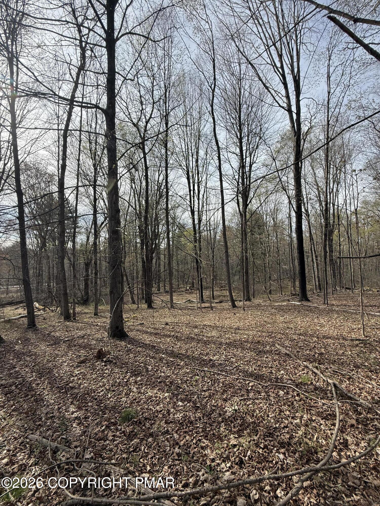 Thomas Road Blakeslee, PA 18610 - Photo 15 of 18 a fire hydrant in the middle of a forest