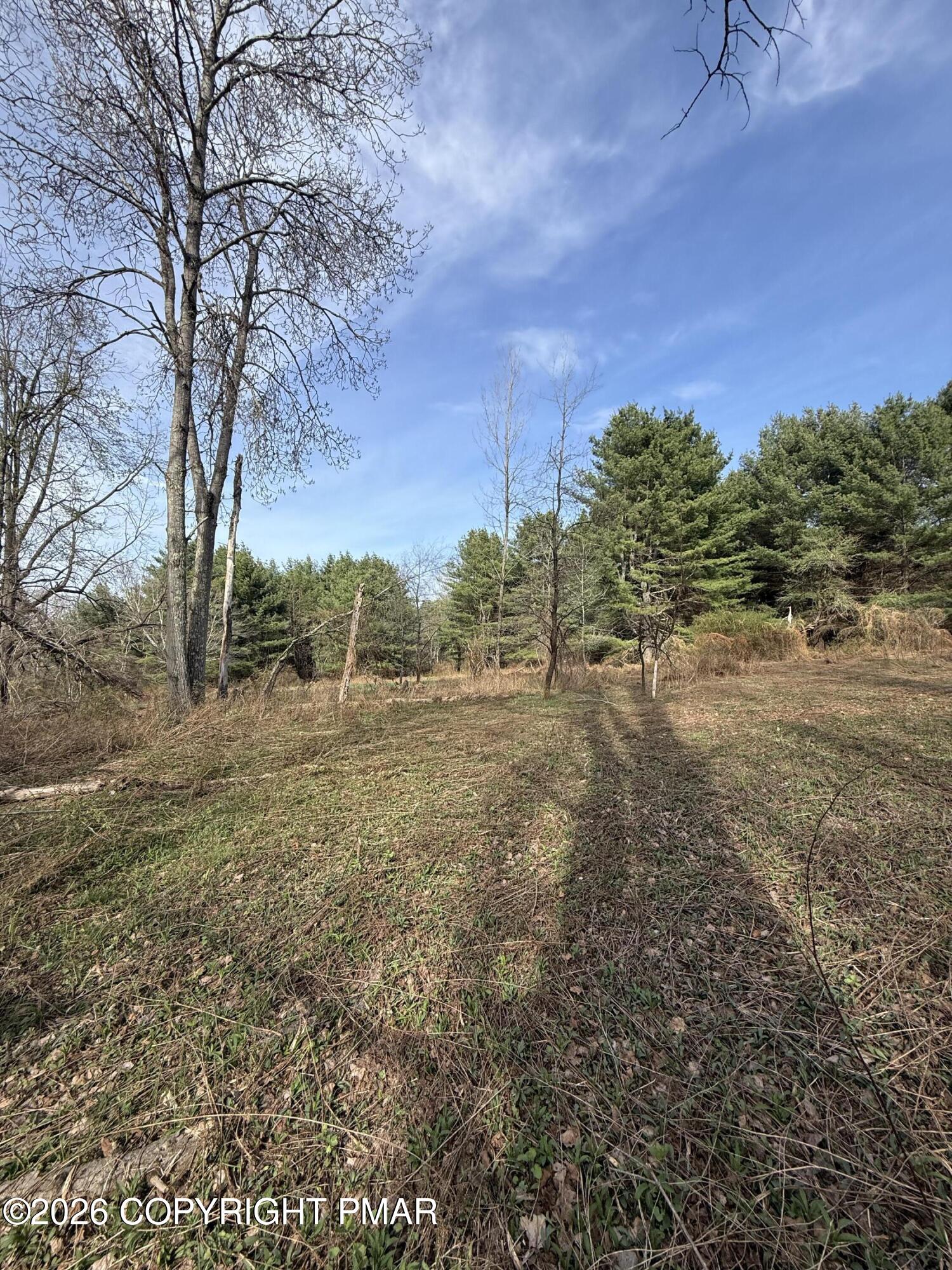 Thomas Road Blakeslee, PA 18610 - Photo 18 of 18 a view of a yard with an trees