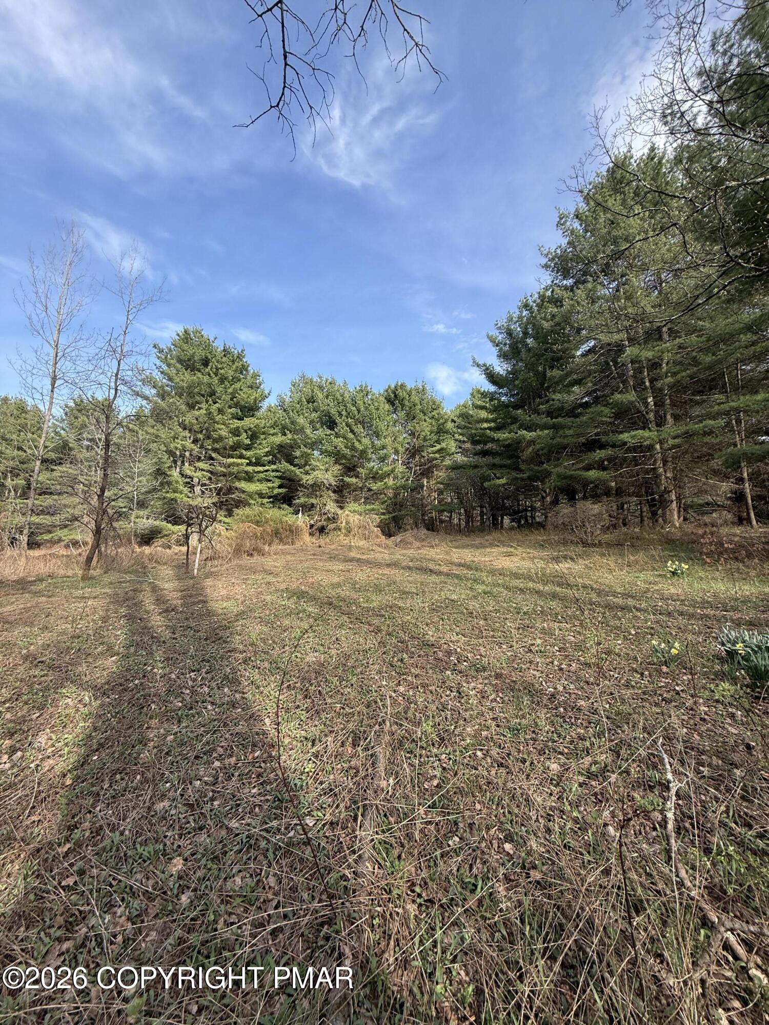 Thomas Road Blakeslee, PA 18610 - Photo 7 of 18 a view of a field of grass and trees
