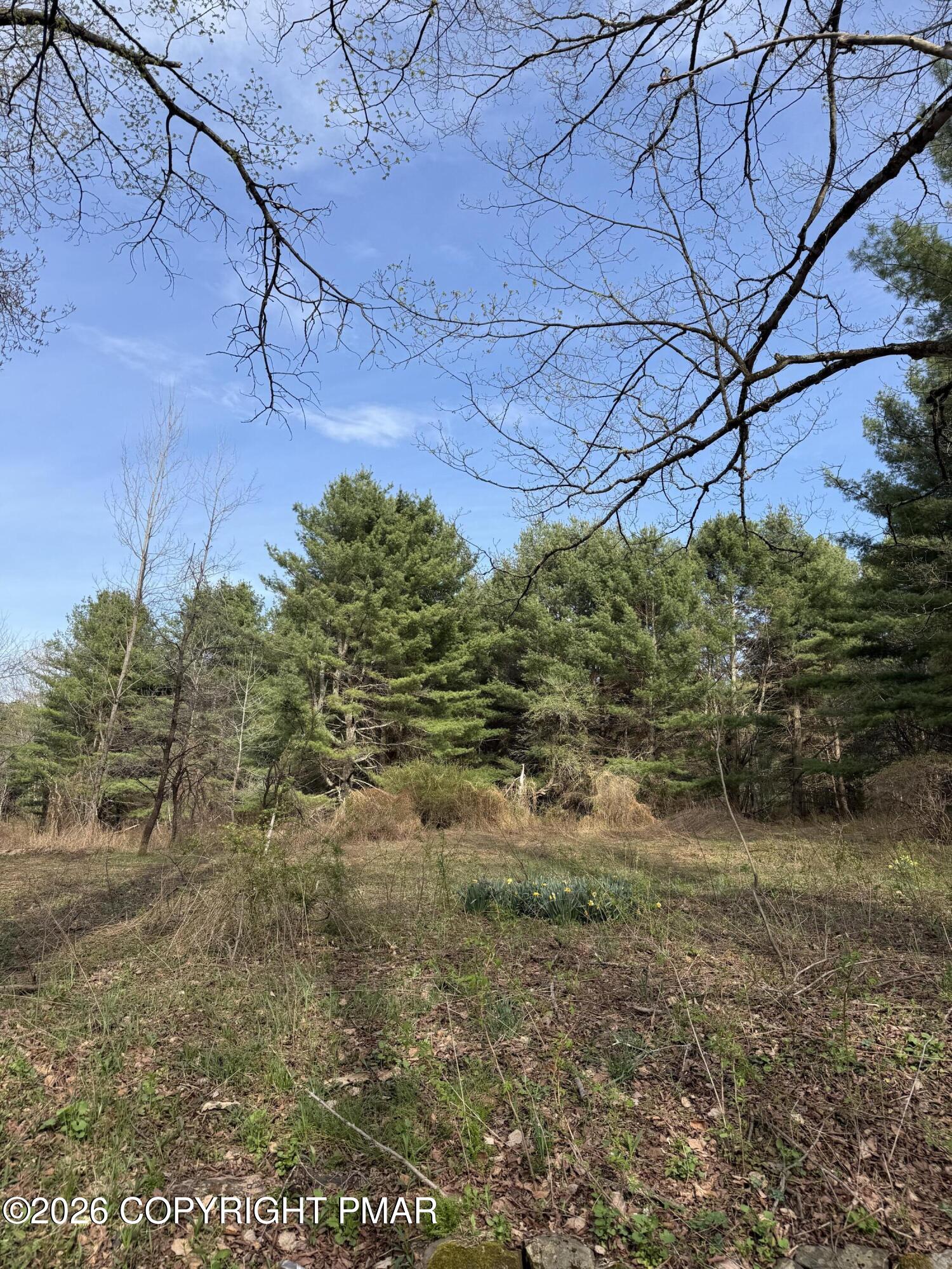 Thomas Road Blakeslee, PA 18610 - Photo 9 of 18 a view of a yard