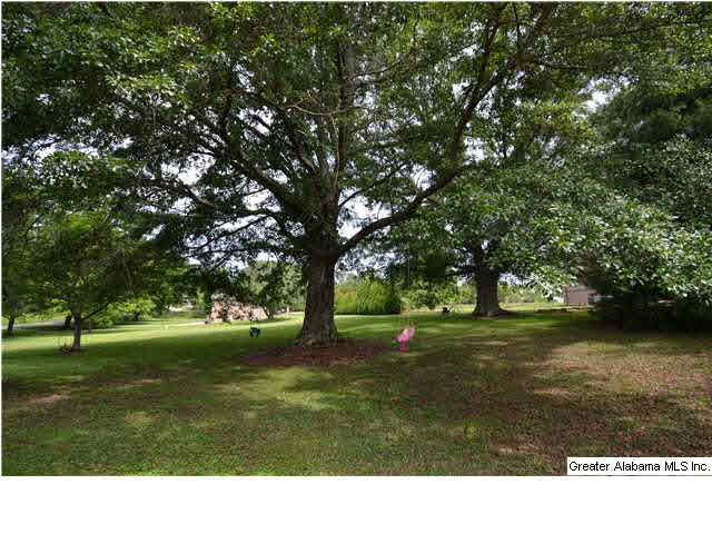 1418 East Hanceville Road Southeast Cullman, AL 35055 - Photo 23 of 23