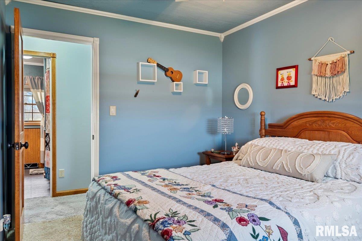 2529 County Road 625 East Rochester, IL 62563 - Photo 38 of 56 Gallery Image 38