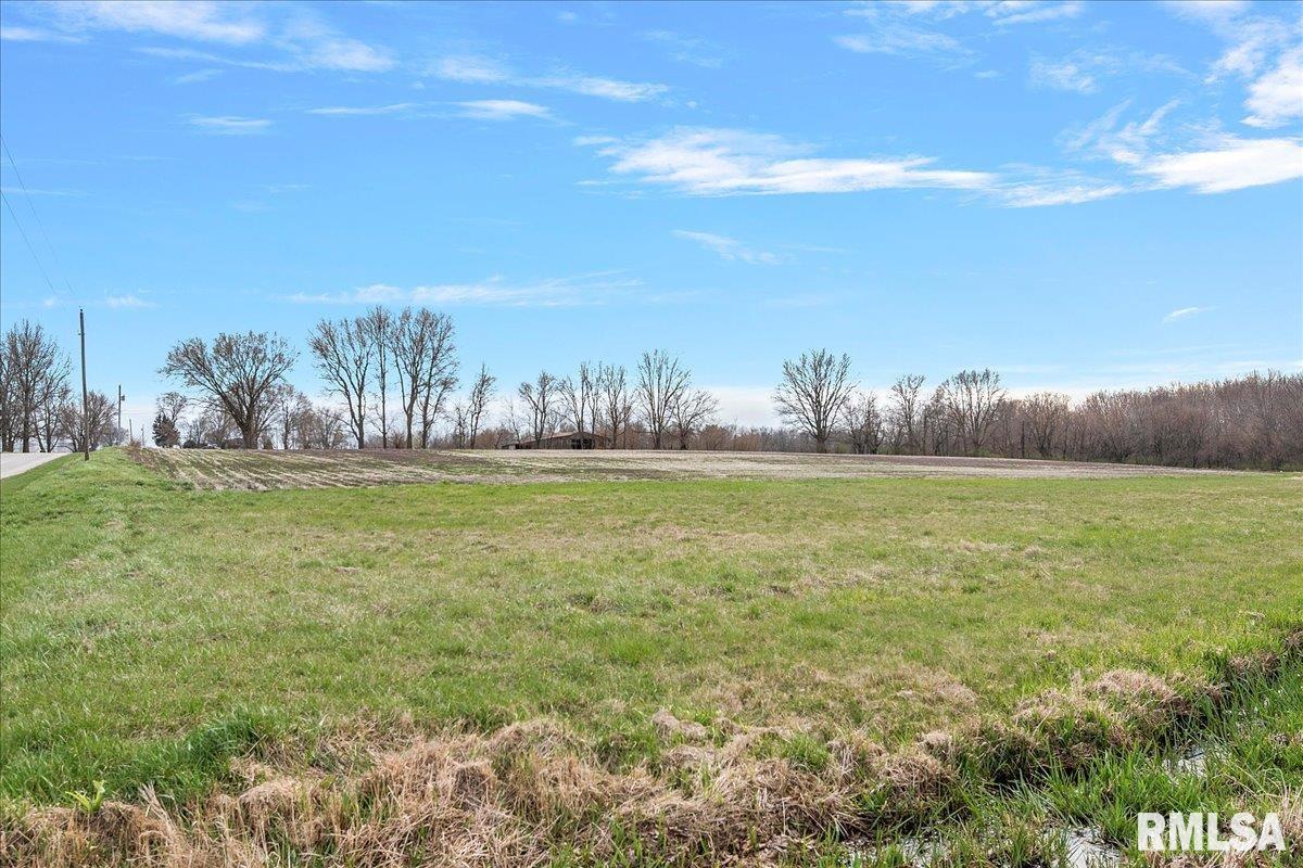 2529 County Road 625 East Rochester, IL 62563 - Photo 42 of 56 Gallery Image 42