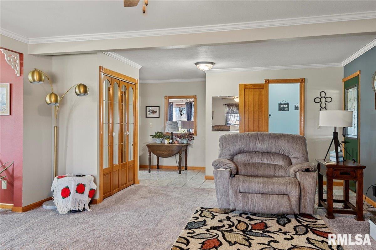 2529 County Road 625 East Rochester, IL 62563 - Photo 5 of 56 Gallery Image 5