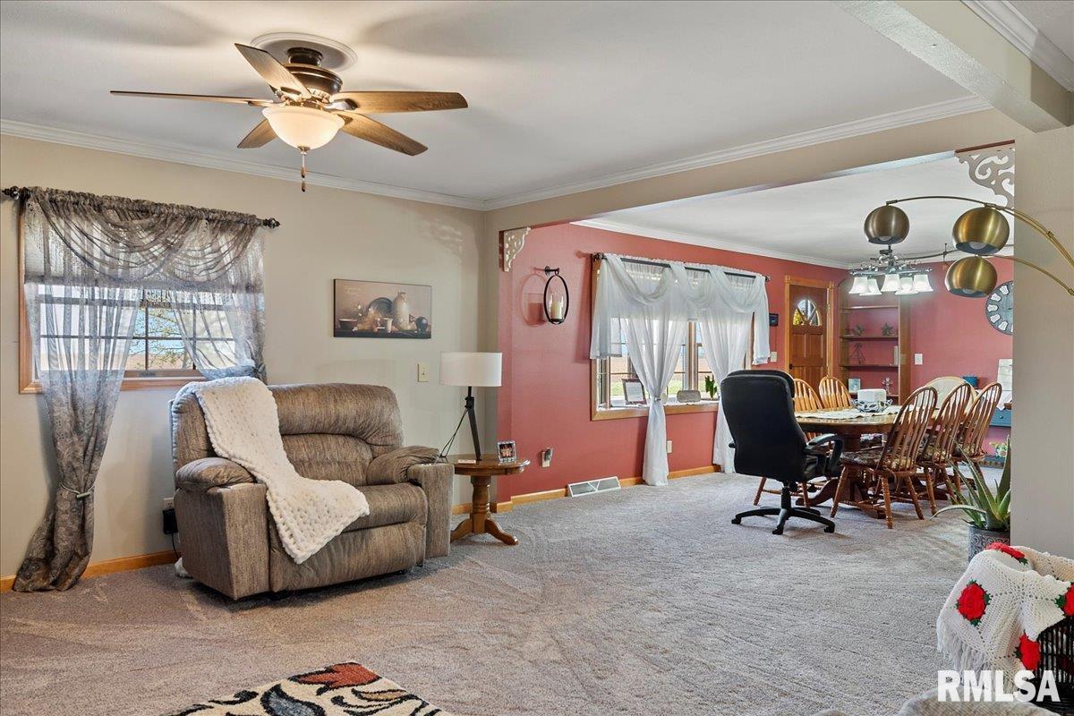 2529 County Road 625 East Rochester, IL 62563 - Photo 6 of 56 Gallery Image 6