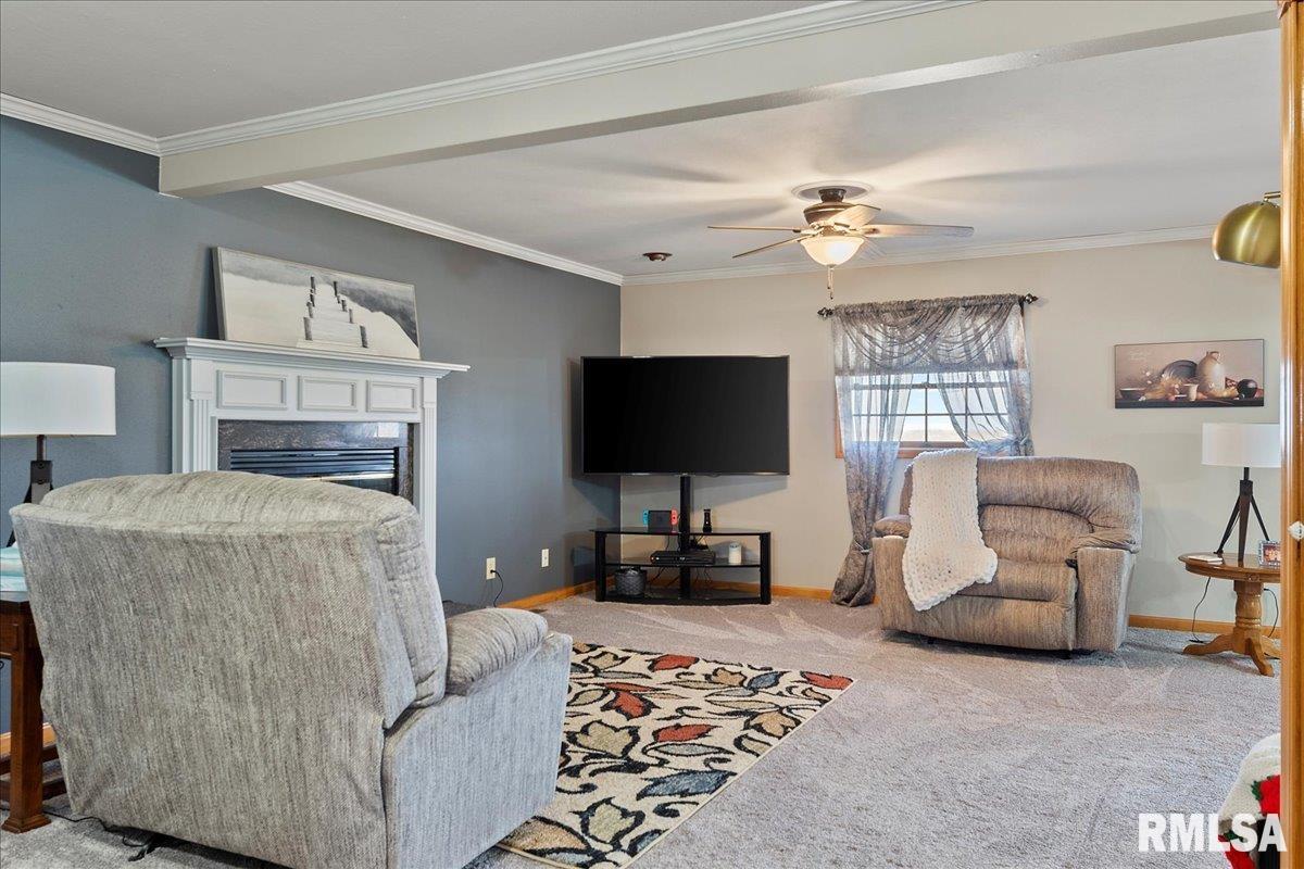 2529 County Road 625 East Rochester, IL 62563 - Photo 7 of 56 Gallery Image 7