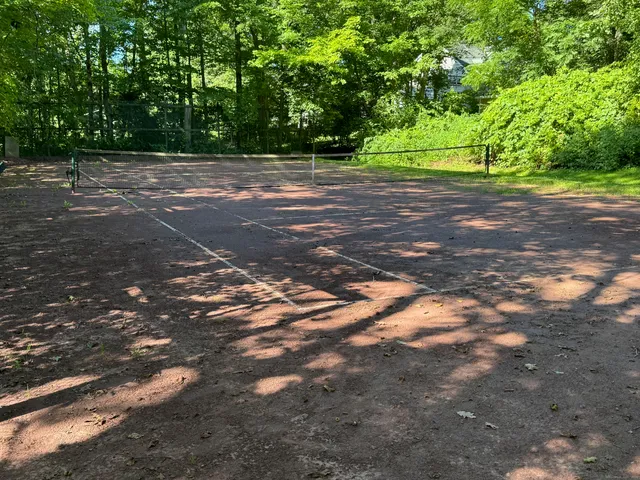 a view of a yard with a trees