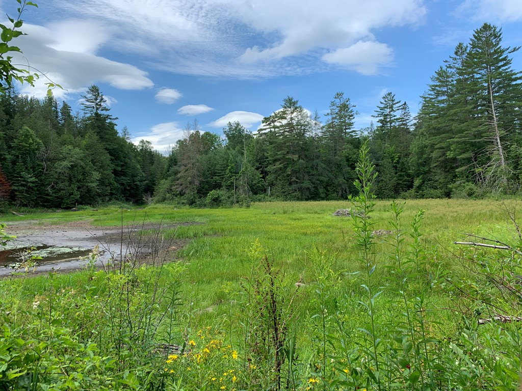 7 Goodnow Flow Road Newcomb, NY 12852 - Photo 12 of 24 Gallery Image 12