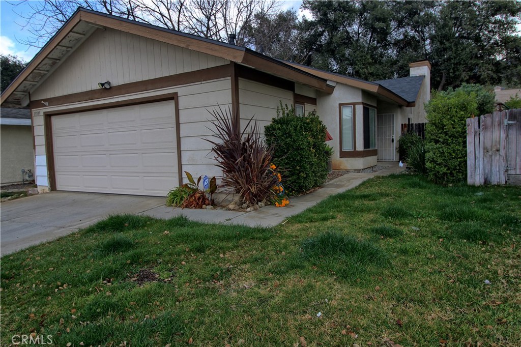 a view of a backyard with plants and a large tree