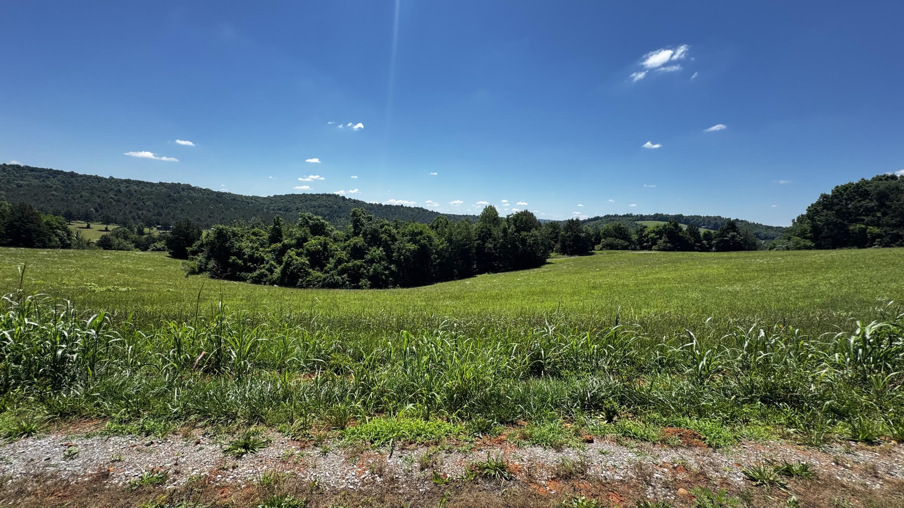 0 The Gates Drive, Unit LOT 44 Decatur, TN 37322 - Photo 2 of 10 IMG_7940