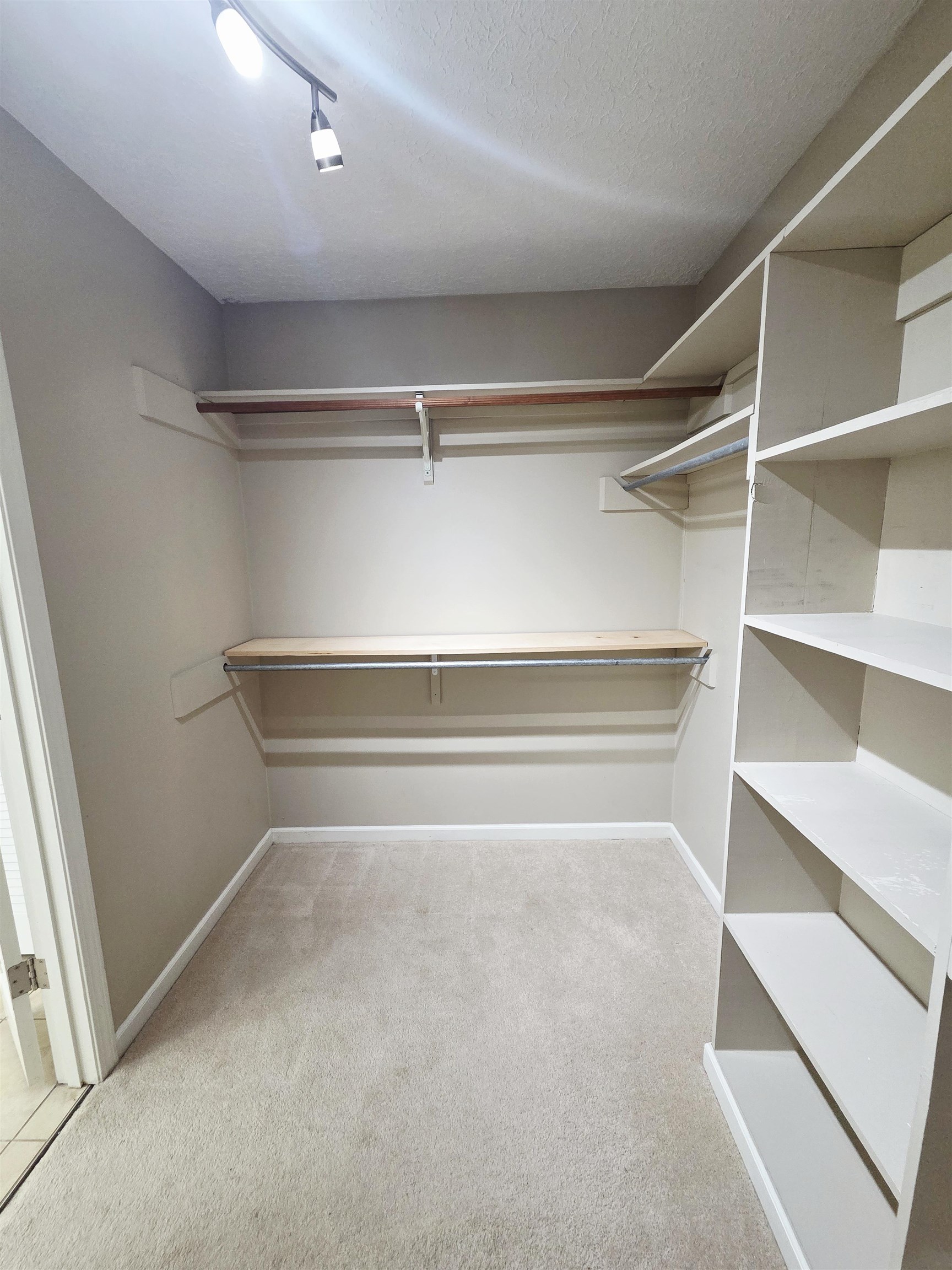 2095 Newfields Road Germantown, TN 38139 - Photo 25 of 34 Walk in closet with light colored carpet