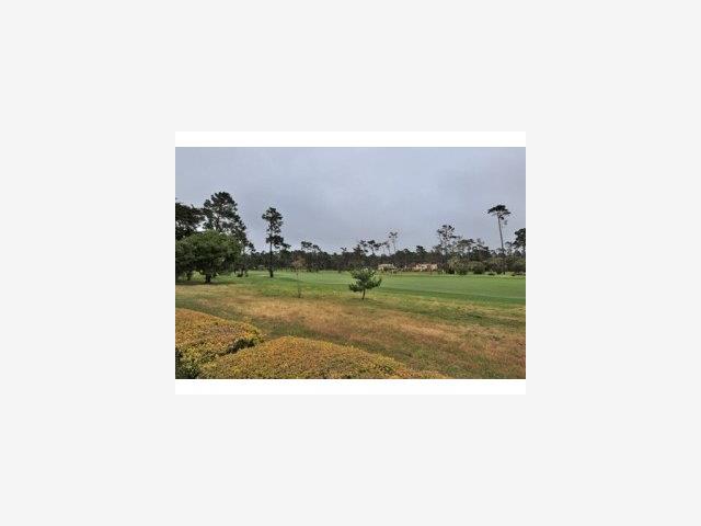 1046 Rodeo Road Pebble Beach, CA 93953 - Photo 8 of 9