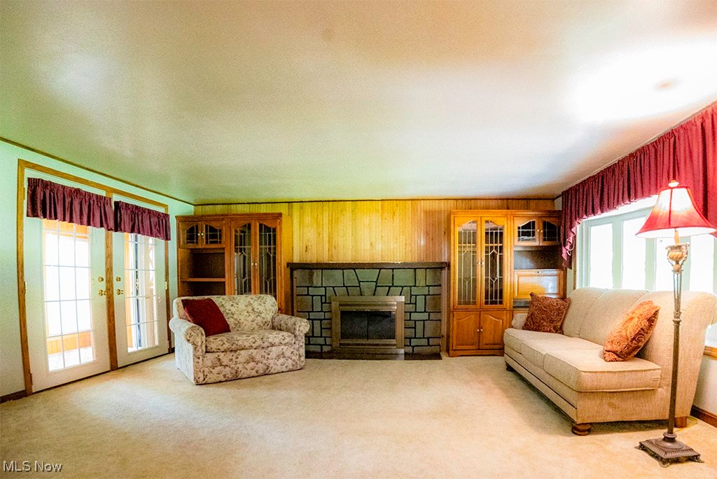 349 Johnson Plank Road Warren, OH 44481 - Photo 14 of 31 Living room with wooden walls, carpet floors, and a stone fireplace