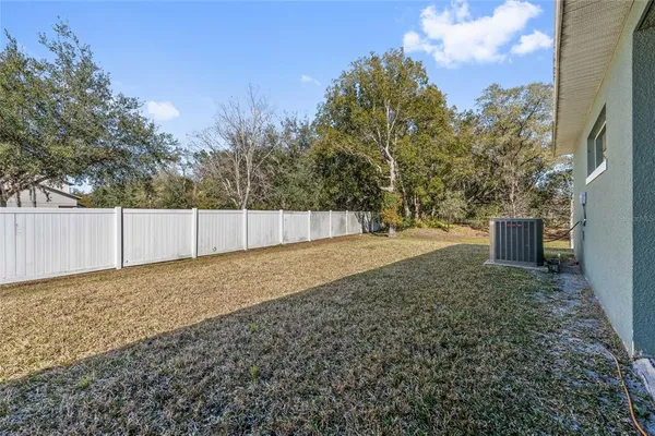 a view of backyard and tree