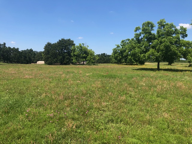 -henry Prairie Rd Henry Prairie Road, Unit COUNTYROAD Franklin, TX 77856 - Photo 13 of 17