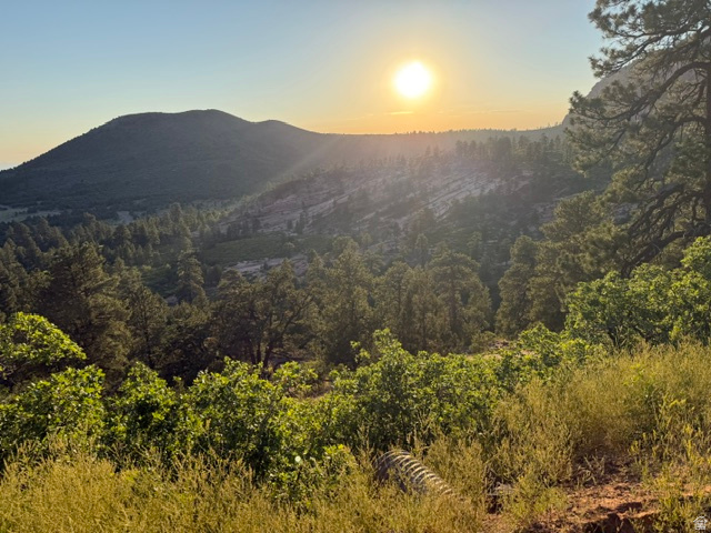 137 North Kolob Road, Unit 36 Springdale, UT 84767 - Photo 8 of 19