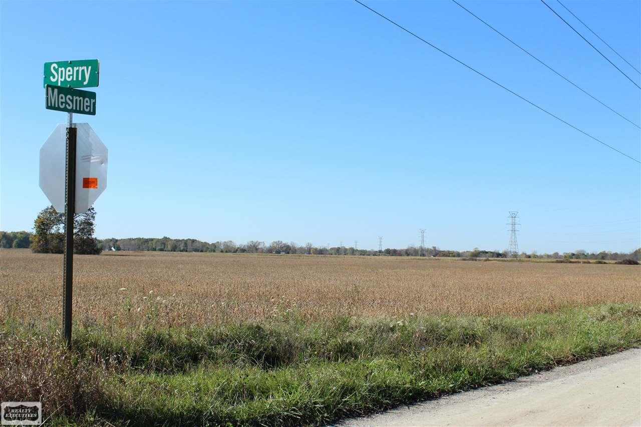 0 Sperry Allenton, MI 48002 - Photo 7 of 9