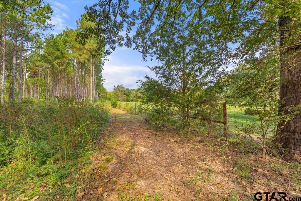 5379 County Road 385 Tyler, TX 75708 - Photo 17 of 44 Gallery Image 17