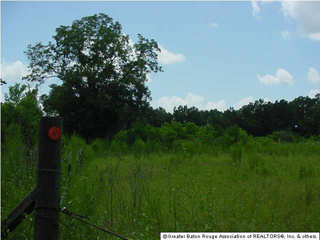 27592 Purvis Road Independence, LA 70443 - Photo 1 of 10 Gallery Image 1