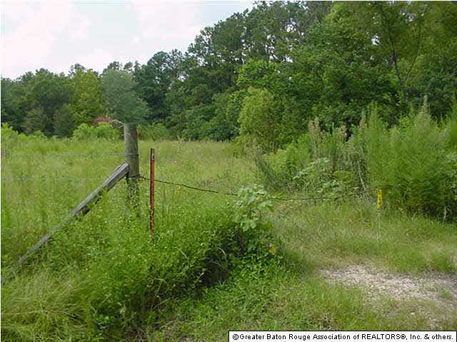 27592 Purvis Road Independence, LA 70443 - Photo 2 of 10 Gallery Image 2