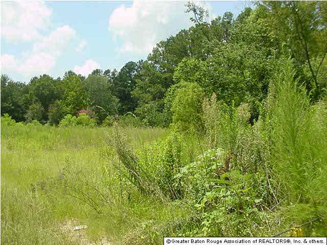 27592 Purvis Road Independence, LA 70443 - Photo 3 of 10 Gallery Image 3