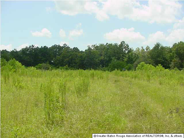 27592 Purvis Road Independence, LA 70443 - Photo 4 of 10 Gallery Image 4