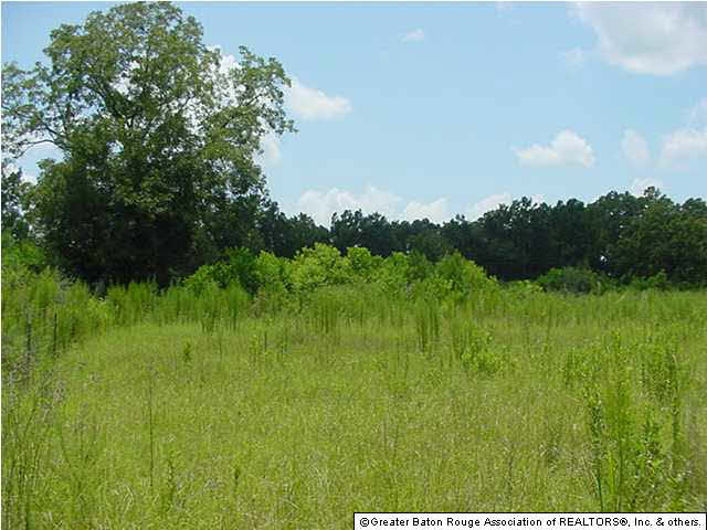 27592 Purvis Road Independence, LA 70443 - Photo 5 of 10 Gallery Image 5