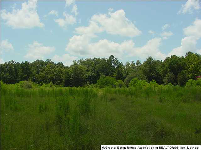 27592 Purvis Road Independence, LA 70443 - Photo 6 of 10 Gallery Image 6