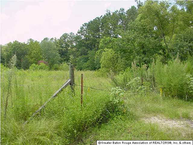 27592 Purvis Road Independence, LA 70443 - Photo 7 of 10 Gallery Image 7