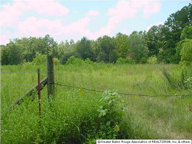27592 Purvis Road Independence, LA 70443 - Photo 8 of 10 Gallery Image 8
