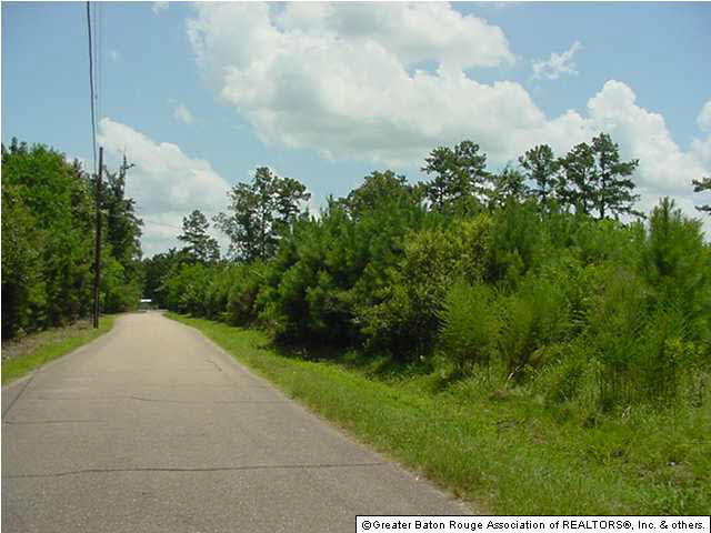 27592 Purvis Road Independence, LA 70443 - Photo 9 of 10 Gallery Image 9